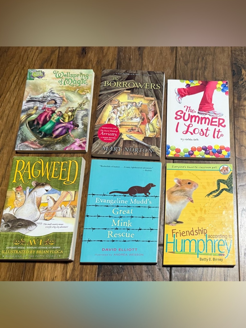 Bundle of Kid’s Paperback Books, Ages 7+